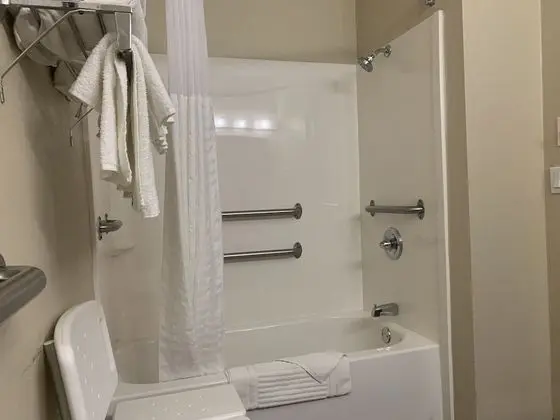 Süit, 1 Büyük (Queen) Boy Yatak ve Çekyat, Engellilere Uygun, Sigara İçilmez (Accessible Tub)