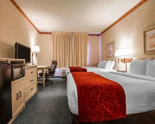 Süit, Sigara İçilmez (2 Queen Beds, 2 Person Sofa bed)
