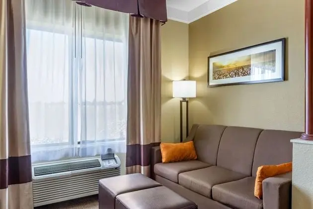 Süit, 1 En Büyük (King) Boy Yatak ve Çekyat, Sigara İçilmez (1 Person Sofa Bed)