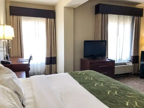 Süit, 1 En Büyük (King) Boy Yatak ve Çekyat, Engellilere Uygun, Sigara İçilmez