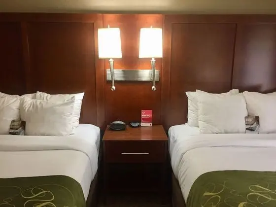 Süit, Sigara İçilmez (Two Queen Beds)