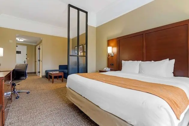 One King Bed Suite,In Room Whirlpool, No Pets Allowed
