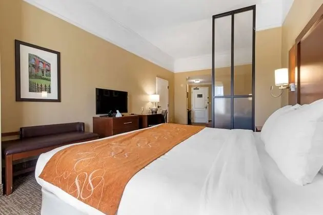 One King Bed Suite,In Room Whirlpool, No Pets Allowed