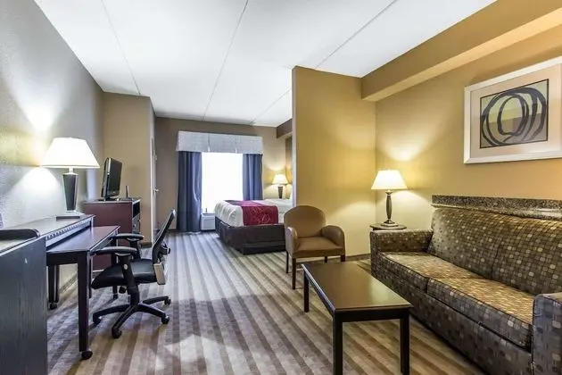 Suite, 1 King Bed, Non Smoking