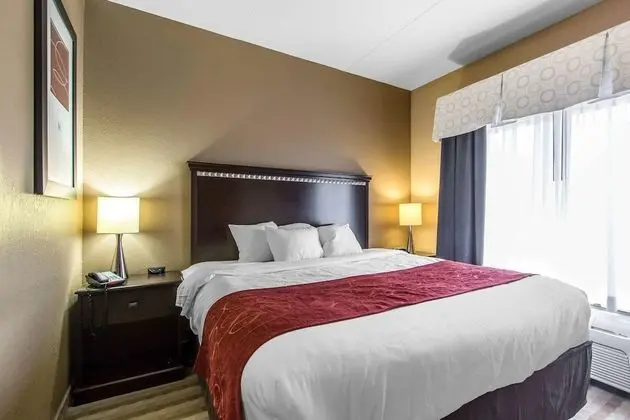Suite, 1 King Bed, Non Smoking