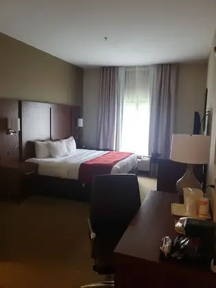 Süit, 1 En Büyük (King) Boy Yatak ve Çekyat, Engellilere Uygun, Sigara İçilmez