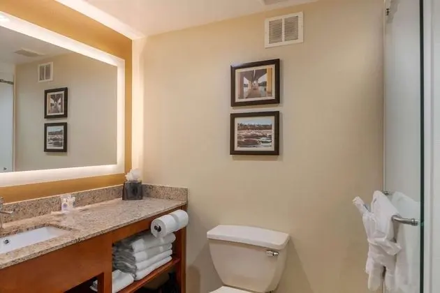 Deluxe Stüdyo Süit, 1 En Büyük (King) Boy Yatak ve Çekyat, Balkon, Göl Manzaralı