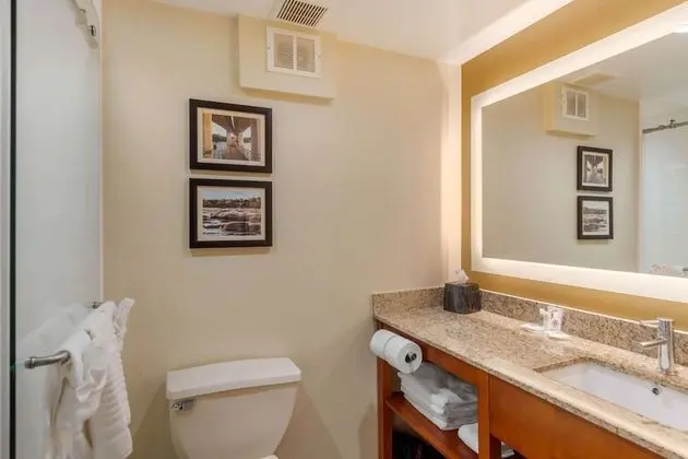 Deluxe Stüdyo Süit, 1 En Büyük (King) Boy Yatak ve Çekyat, Balkon, Göl Manzaralı