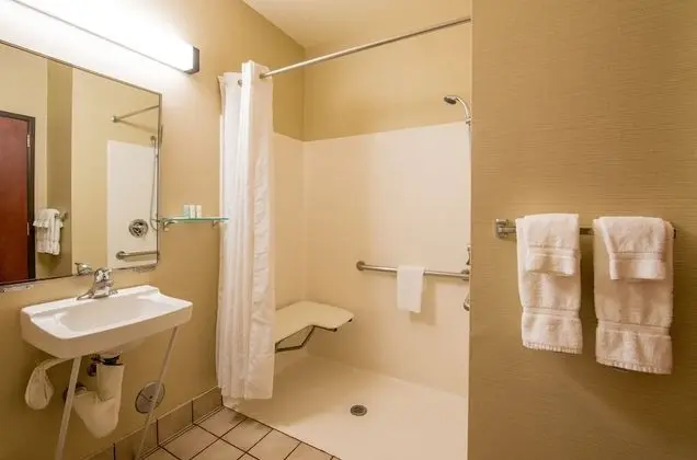 Stüdyo Süit, 2 Büyük (Queen) Boy Yatak, Engellilere Uygun, Sigara İçilmez (Roll-In Shower)