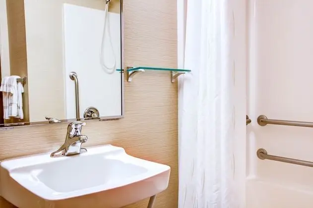 Stüdyo Süit, 2 Büyük (Queen) Boy Yatak, Engellilere Uygun, Sigara İçilmez (Roll-In Shower)