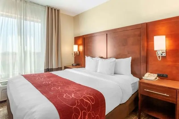 Suite, 1 King Bed, 2 Person Sofa Bed, Non Smoking
