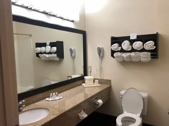 Süit, Birden Çok Yatak, Engellilere Uygun, Sigara İçilmez