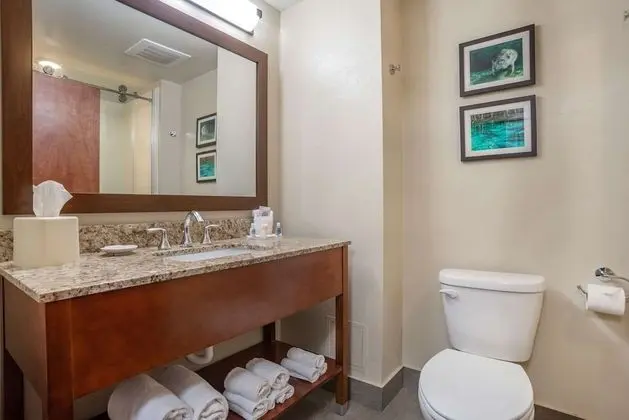Süit, 1 En Büyük (King) Boy Yatak ve Çekyat, Sigara İçilmez (Pet Friendly)