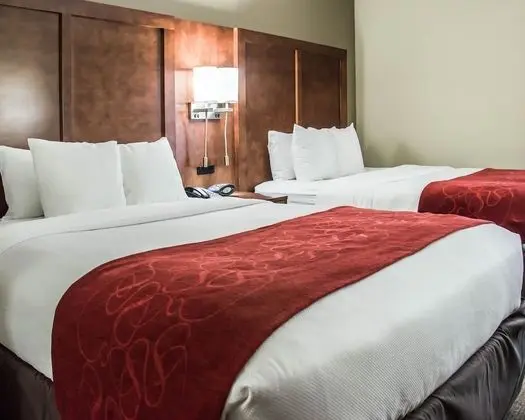 Süit, Birden Çok Yatak, Sigara İçilmez (2 Queen, 2 Person Sofa Bed)
