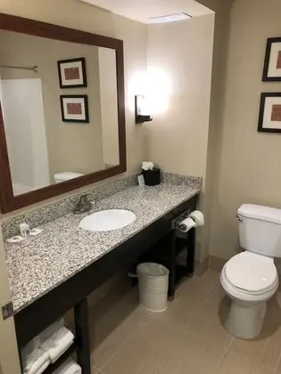 Süit, Birden Çok Yatak, Sigara İçilmez (2 Queen, 2 Person Sofa Bed)