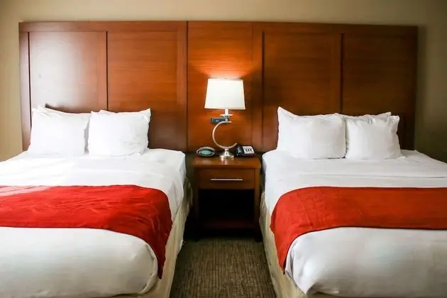 Deluxe Süit, 1 Yatak Odası, Sigara İçilmez (2 Queen Beds and Sofa Bed)
