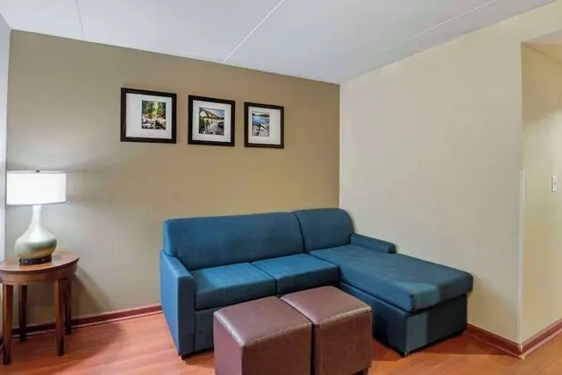 Deluxe Süit, 1 Yatak Odası, Sigara İçilmez (2 Queen Beds and Sofa Bed)