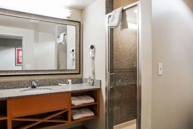 Standard Stüdyo Süit, 1 En Büyük (King) Boy Yatak (Mobility Accessible, Roll-In Shower)