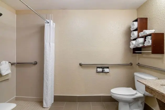 Oda, 1 En Büyük (King) Boy Yatak, Engellilere Uygun, Sigara İçilmez (Roll-In Shower)