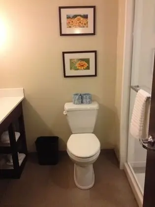 Süit, 1 En Büyük (King) Boy Yatak ve Çekyat, Sigara İçilmez (Shower Only)