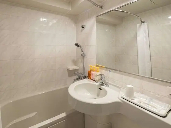 Standard Tek Büyük Yataklı Oda, Sigara İçilmez