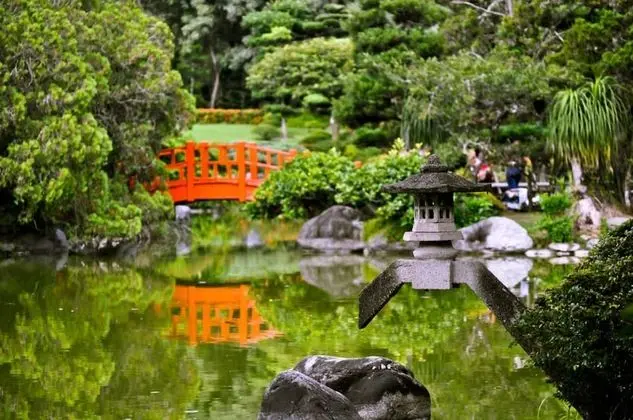 Stüdyo, Birden Çok Yatak
