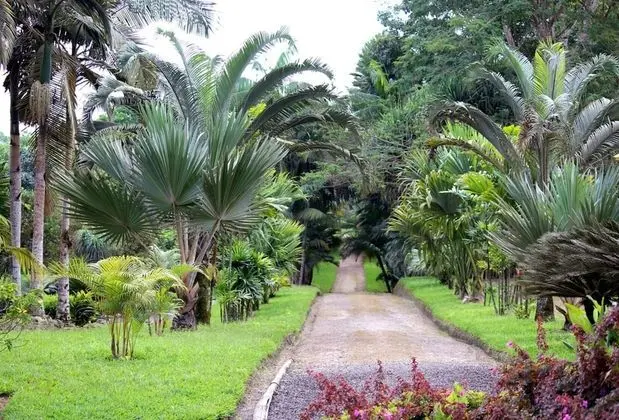 Stüdyo, Birden Çok Yatak