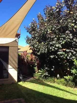 Apart Daire (2 Bedrooms)