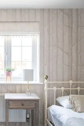 Ev, 5 Yatak Odası, Mikrodalga