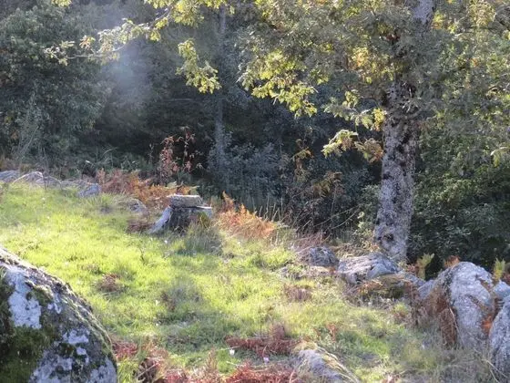 Kulübe, 2 Yatak Odası, Şömine
