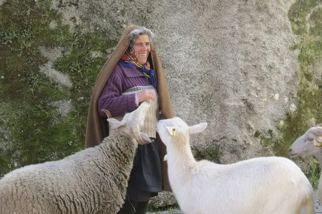 Kulübe, 2 Yatak Odası, Şömine