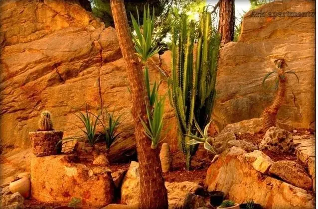 Oda, 1 Yatak Odası, Veranda