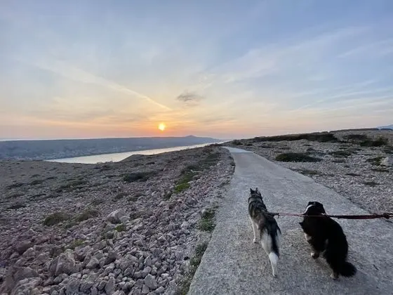 Apart Daire, 1 Yatak Odası, Sigara İçilebilir, Veranda