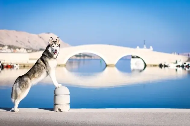 Apart Daire, 1 Yatak Odası, Sigara İçilebilir, Veranda