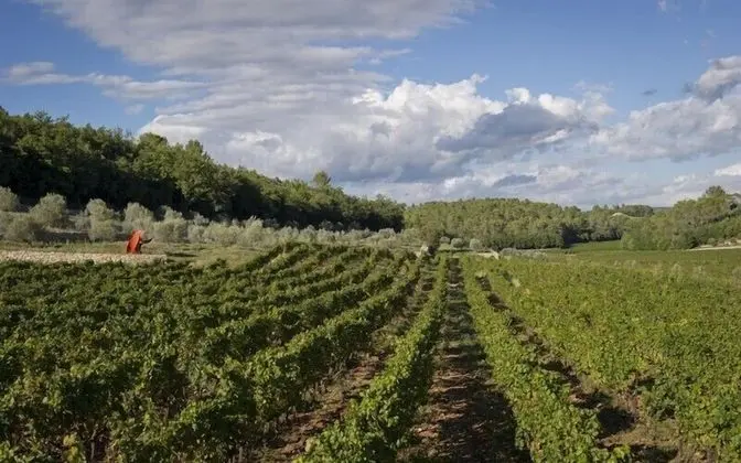 Superior Tek Büyük Yataklı Oda (Les Grands Espaces)