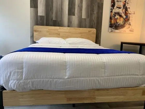 Premium Oda, 1 Çift Kişilik Yatak