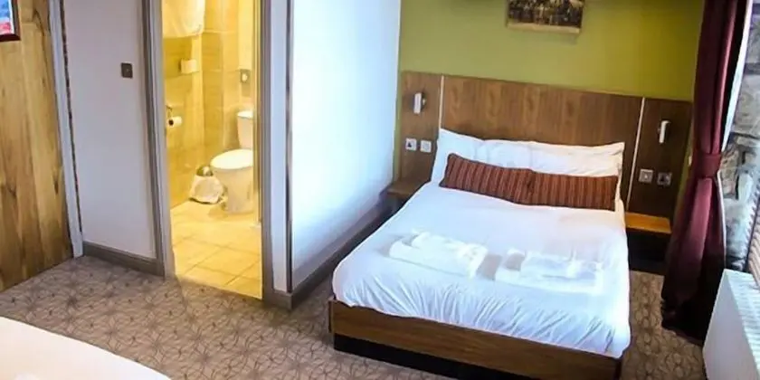 Standard Tek Büyük Yataklı Oda, 1 Çift Kişilik Yatak