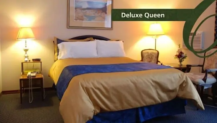 Deluxe Oda, 1 Büyük (Queen) Boy Yatak