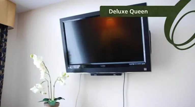 Deluxe Oda, 1 Büyük (Queen) Boy Yatak