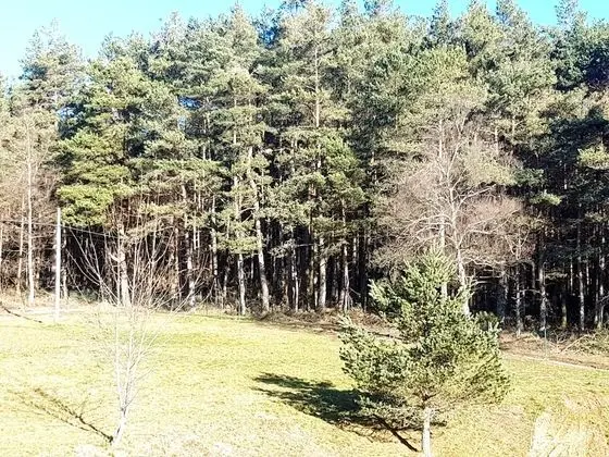 İki Ayrı Yataklı Oda, Dağ Manzaralı