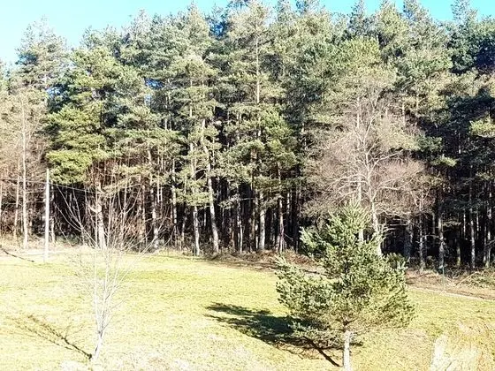 Tek Kişilik Oda, Bahçe Manzaralı