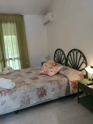 Basic Tek Büyük veya İki Ayrı Yataklı Oda