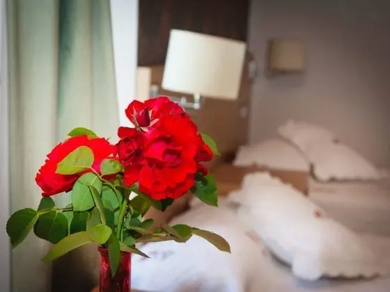 Tek Büyük Yataklı Oda, Özel Banyo