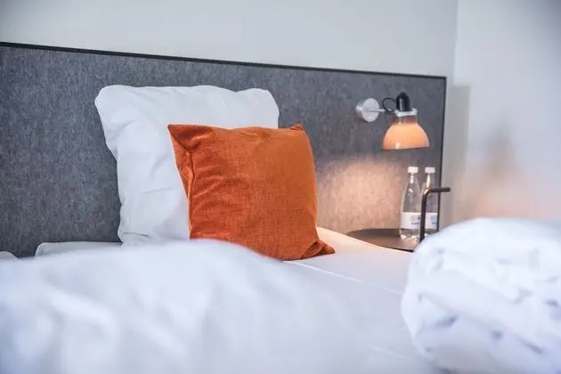 Superior Tek Büyük Yataklı Oda (Plus)