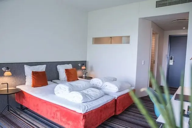 Superior Tek Büyük Yataklı Oda (Plus)