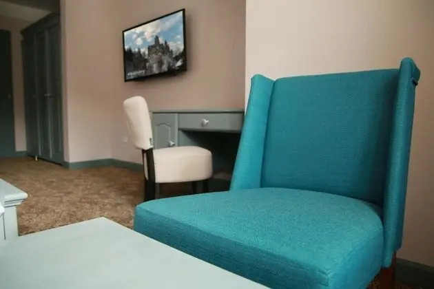 Deluxe İki Ayrı Yataklı Oda