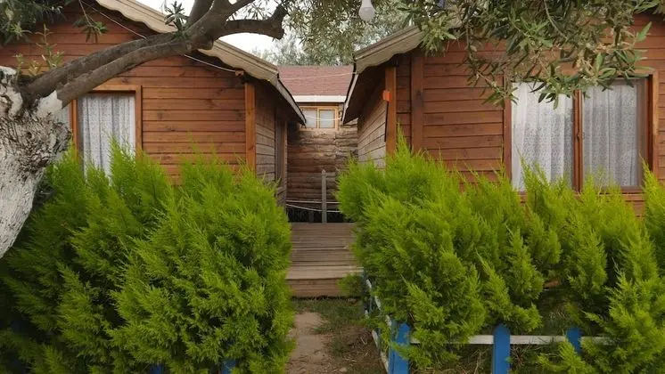 Ağaç Ev