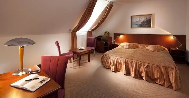 Superior Tek Büyük Yataklı Oda