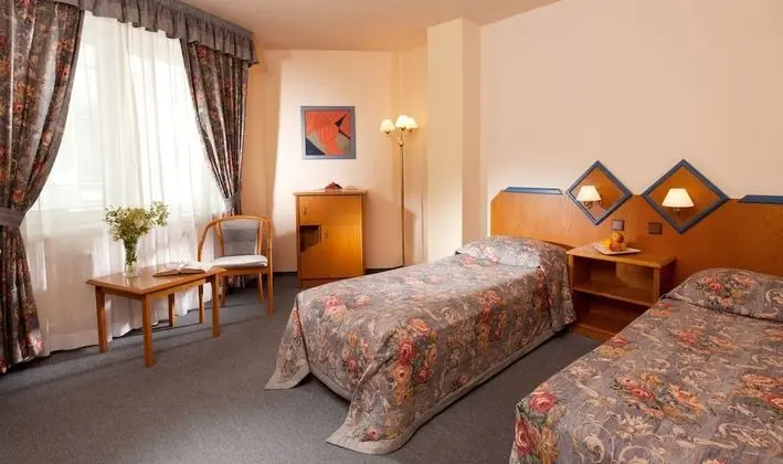 Superior Tek Büyük Yataklı Oda