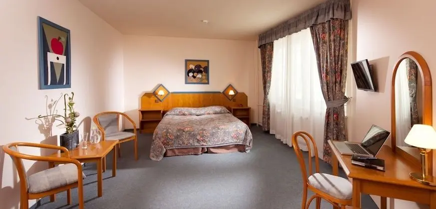 Superior Tek Büyük Yataklı Oda